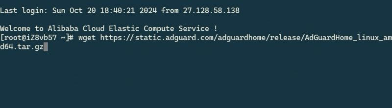 图片[2]-AdGuard Home搭建教程：一步步教你打造个人定制的网络保护系统-清玖博客
