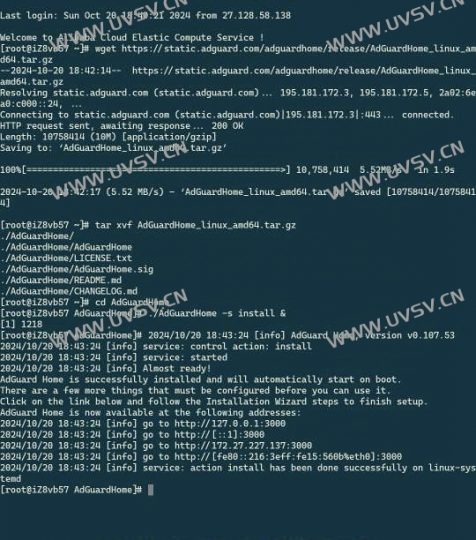 图片[5]-AdGuard Home搭建教程：一步步教你打造个人定制的网络保护系统-清玖博客